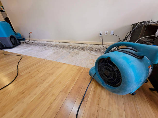 Professional Structural Drying technician working in Brent, FL